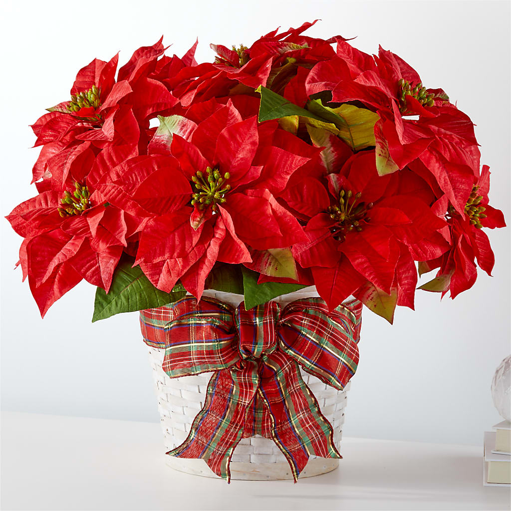 Happiest Holidays Poinsettia – Flowers By Mgm, North York ON