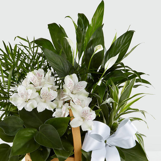 Peace & Serenity Dishgarden – Flowers By Mgm, North York ON