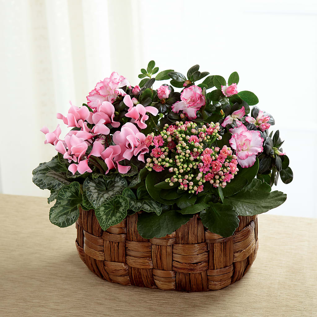 Pink Assortment – Flowers By Mgm, North York ON