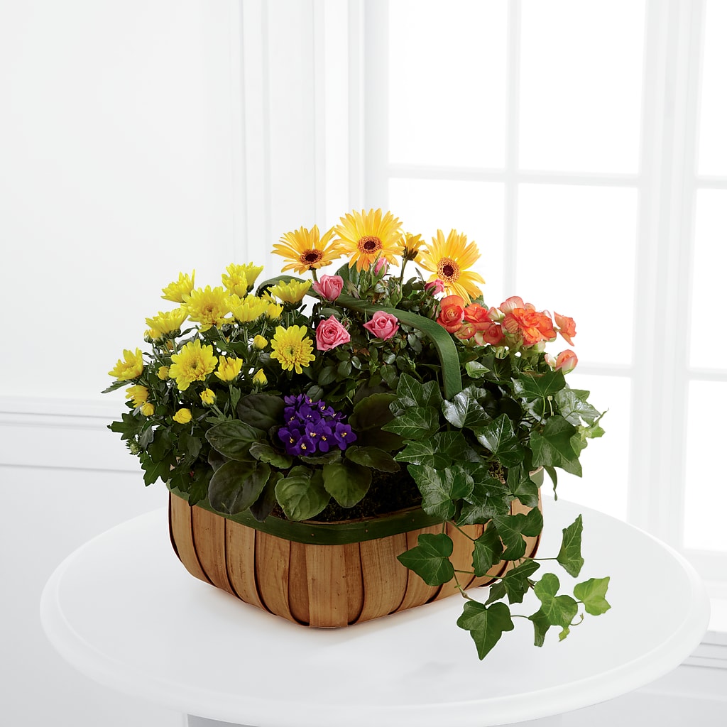 Gentle Blossoms Basket – Flowers By Mgm, North York ON