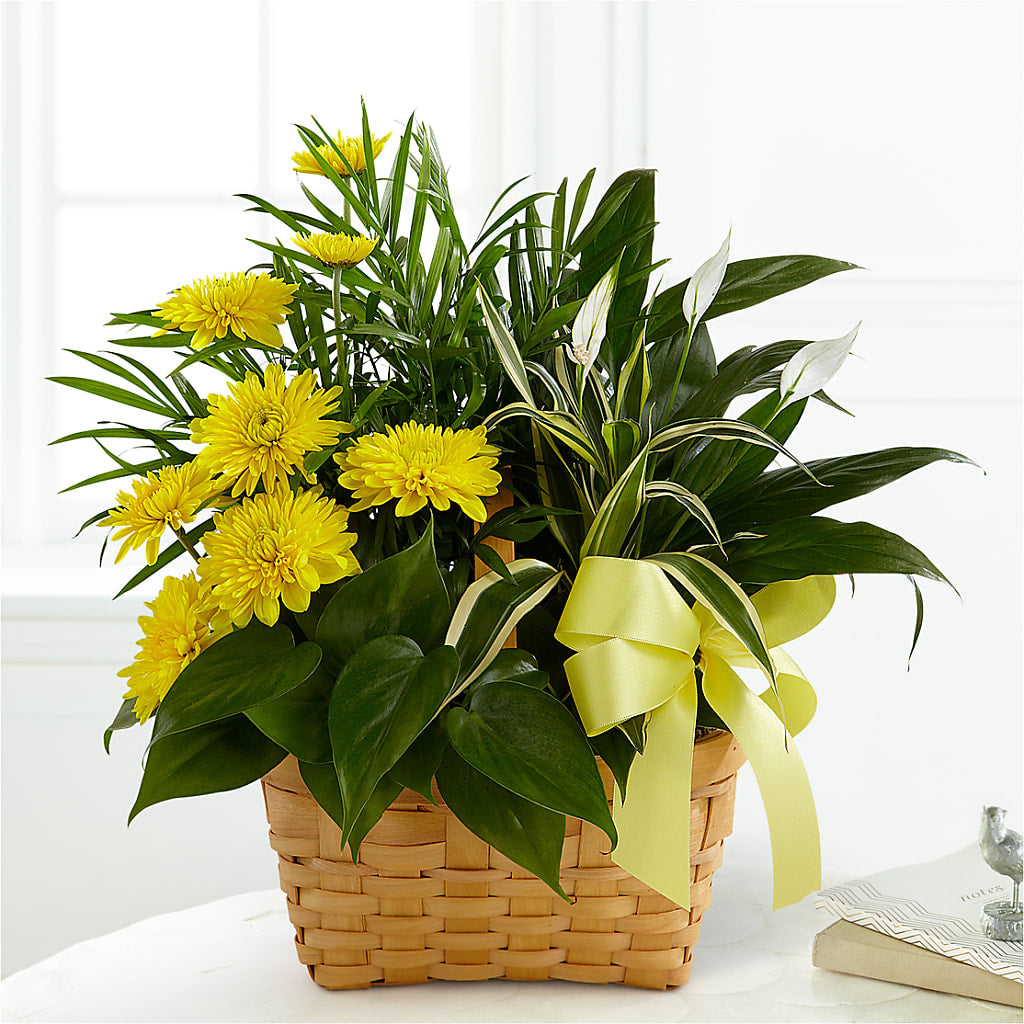 Loving Light Dishgarden – Flowers By Mgm, North York ON