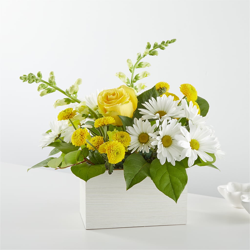 Sun Salutation Box Bouquet – Flowers By Mgm, North York ON