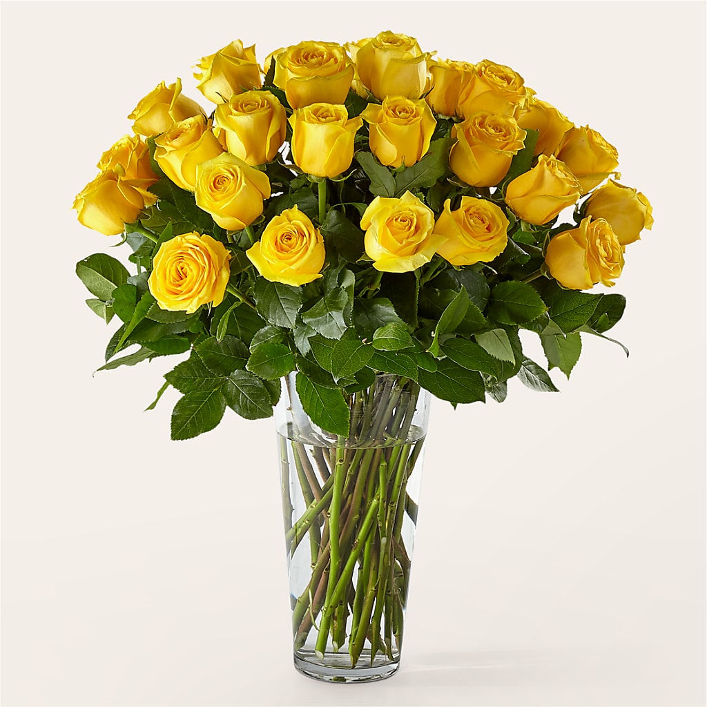 Long Stem Yellow Rose Bouquet – Flowers By Mgm, North York ON