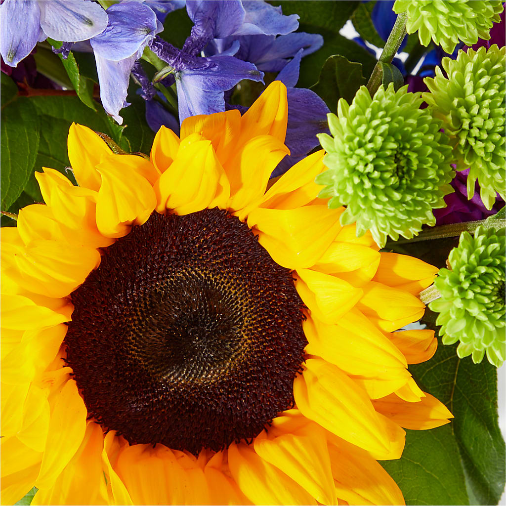 Catching Rays Bouquet – Flowers By Mgm, North York ON
