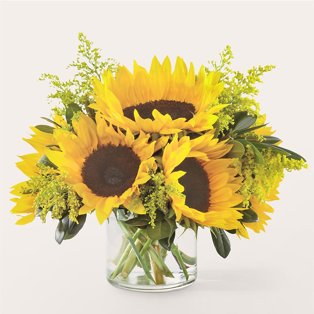 Beaming Sunflower Bouquet – Flowers By Mgm, North York ON