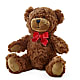 Adorable ours en peluche