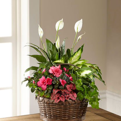 Dream in Pink Dishgarden –  Flowers By Mgm, North York ON