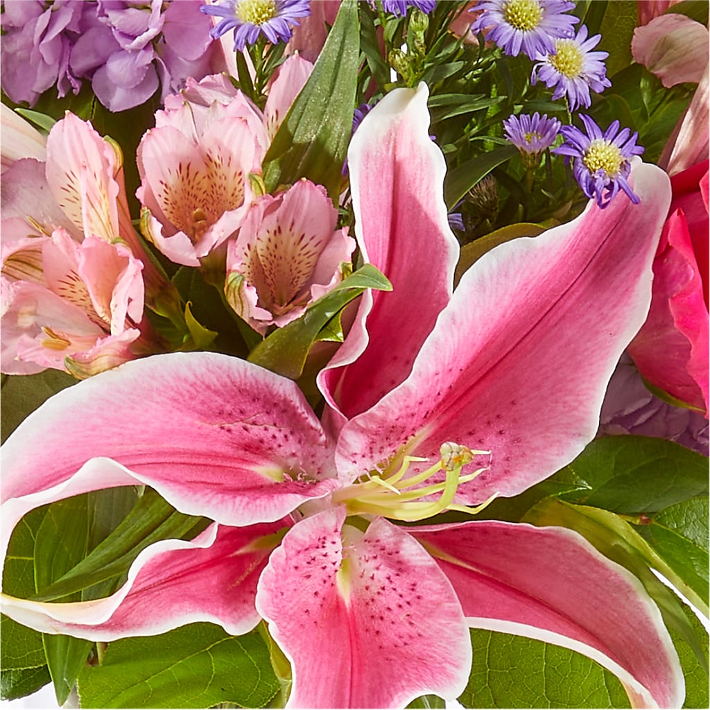 Written in the Stars Bouquet –  Flowers By Mgm, North York ON