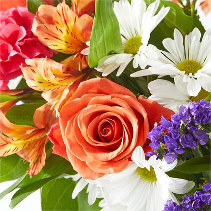 Oopsie Daisy Box Bouquet –  Flowers By Mgm, North York ON