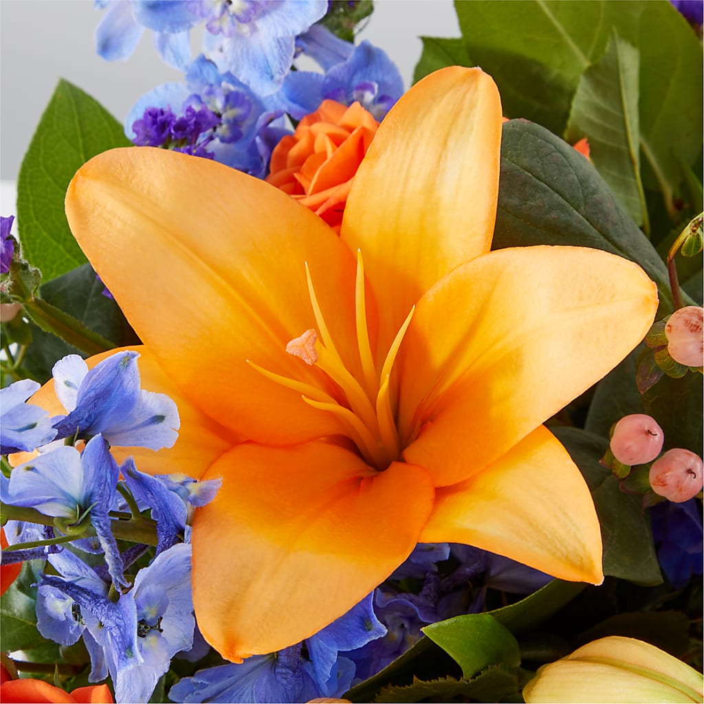 Radiant Citrus Box Bouquet –  Flowers By Mgm, North York ON