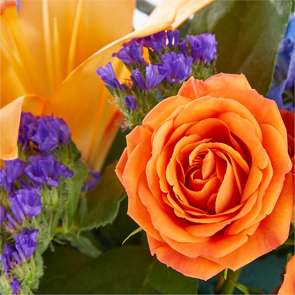 Radiant Citrus Box Bouquet –  Flowers By Mgm, North York ON
