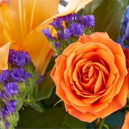 Radiant Citrus Box Bouquet –  Flowers By Mgm, North York ON