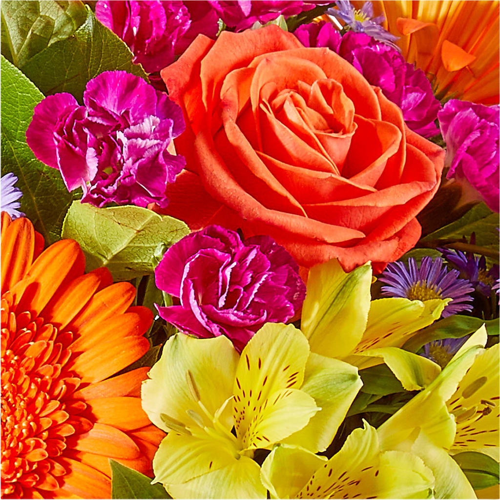 Tricks & Treats Pumpkin –  Flowers By Mgm, North York ON