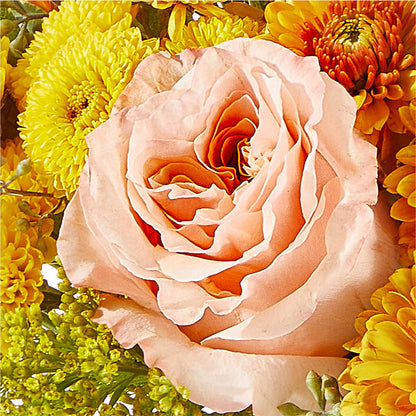 Peachy Pumpkin –  Flowers By Mgm, North York ON