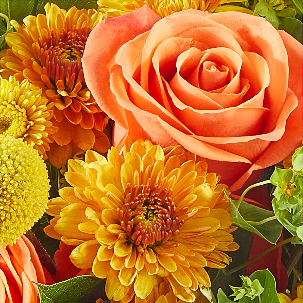 Gourdgeous Pumpkin –  Flowers By Mgm, North York ON