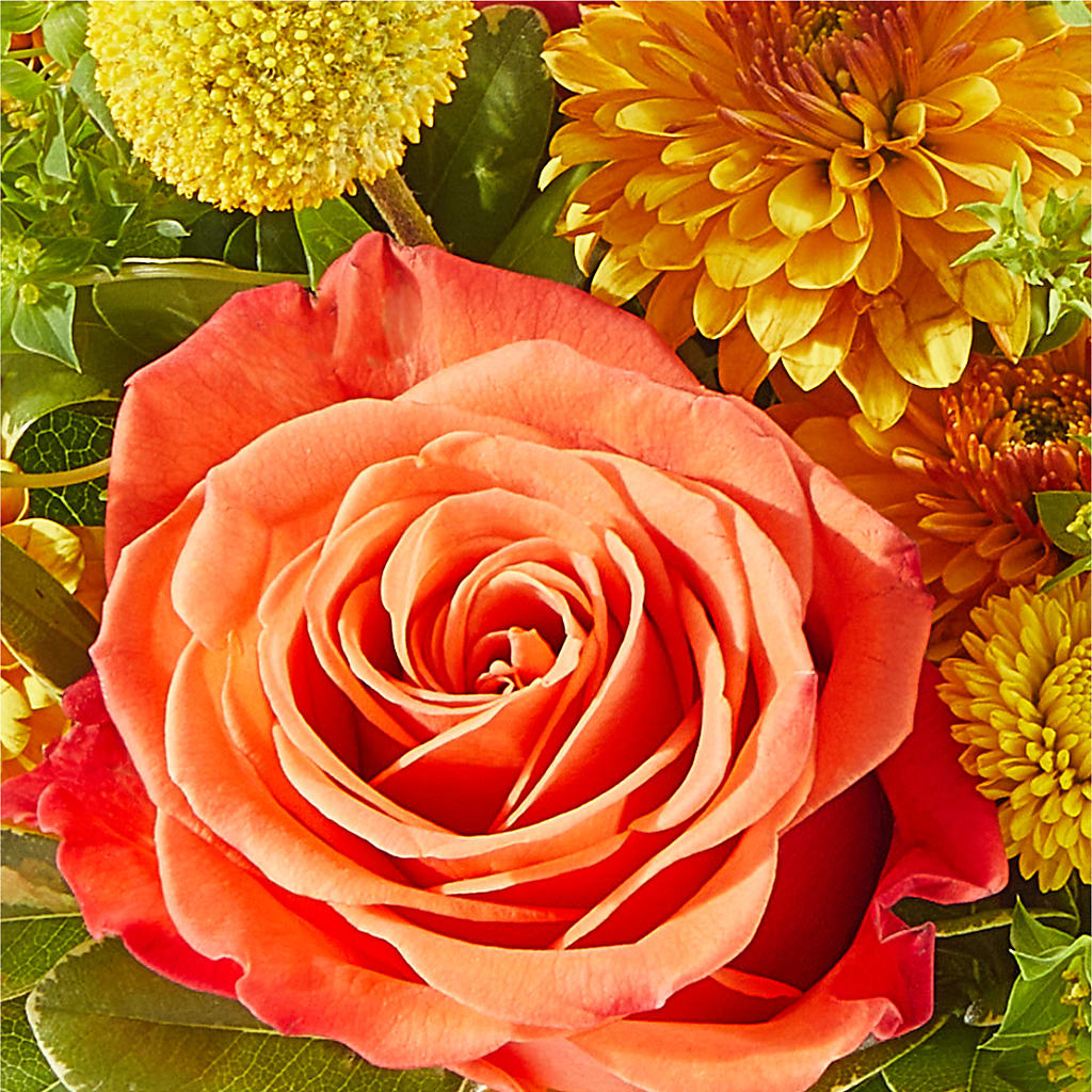 Gourdgeous Pumpkin –  Flowers By Mgm, North York ON
