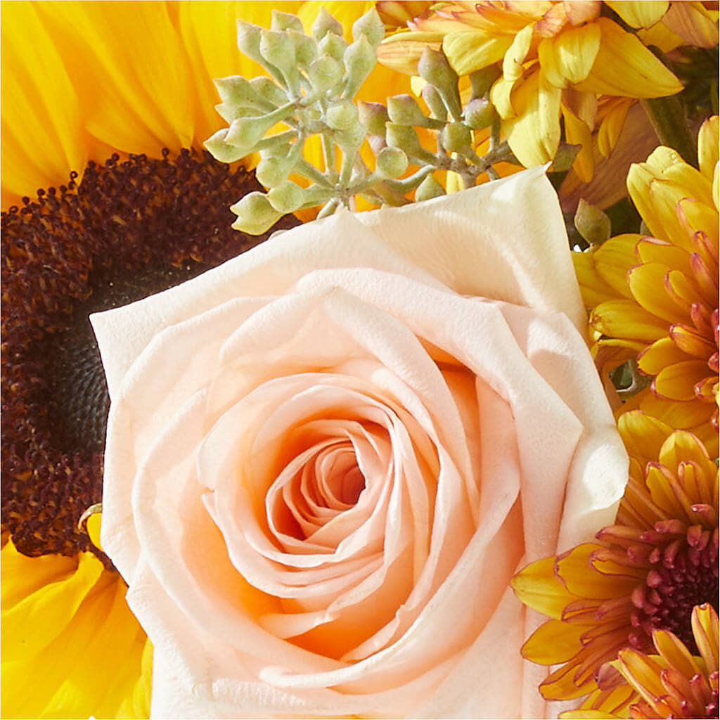 Pumpkin to Talk About Bouquet –  Flowers By Mgm, North York ON