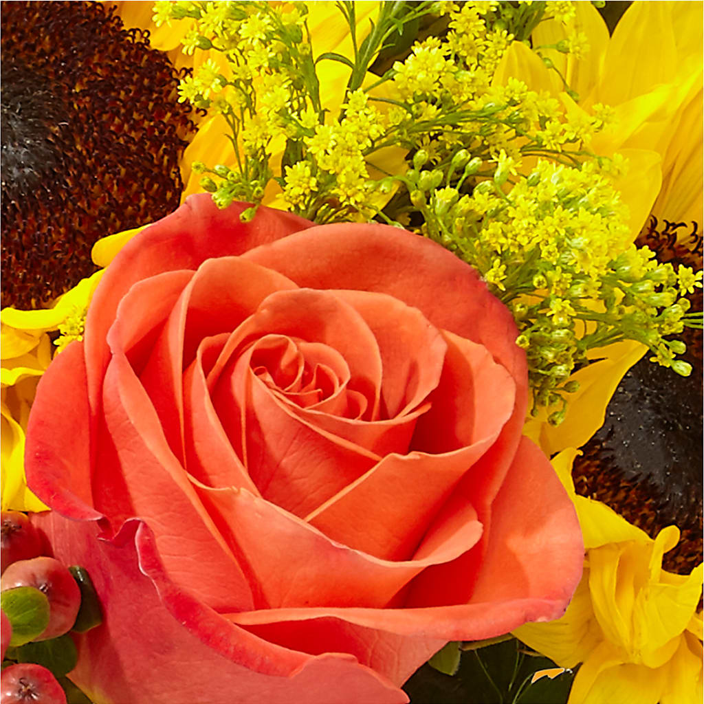 Pick of the Patch Pumpkin Bouquet –  Flowers By Mgm, North York ON