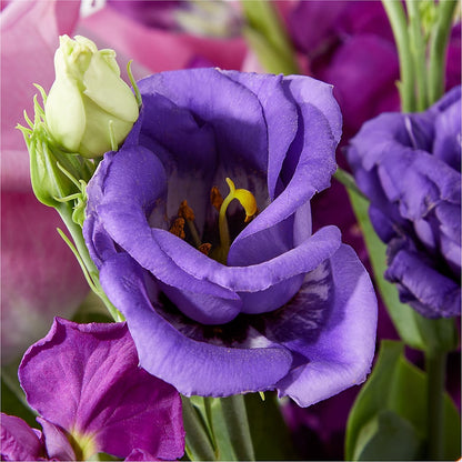 Twilight Glow Bouquet –  Flowers By Mgm, North York ON