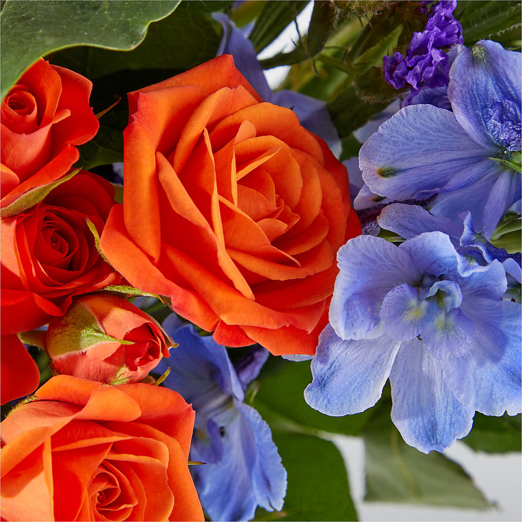 Radiant Citrus Bouquet –  Flowers By Mgm, North York ON