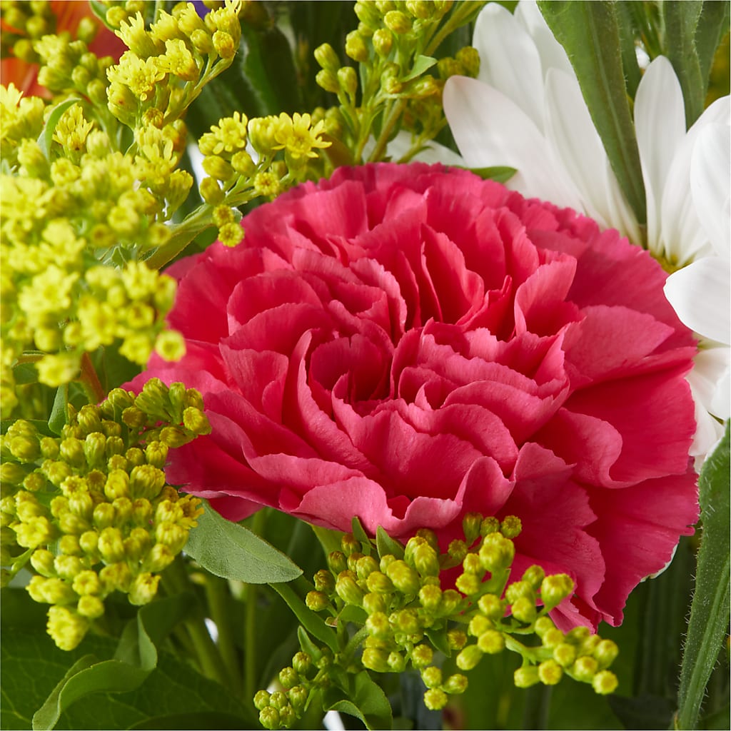 Oopsie Daisy Bouquet –  Flowers By Mgm, North York ON