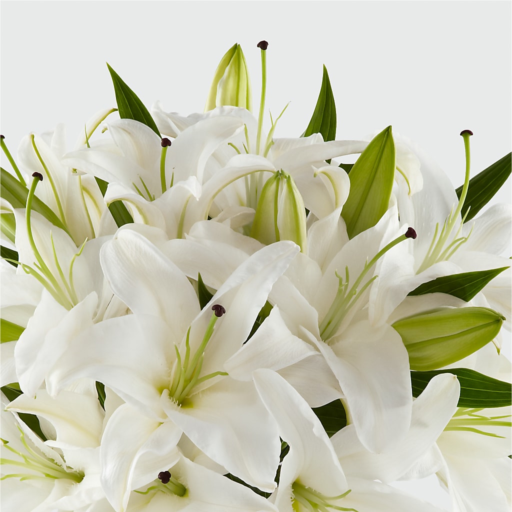 Faithful Blessings Bouquet –  Flowers By Mgm, North York ON