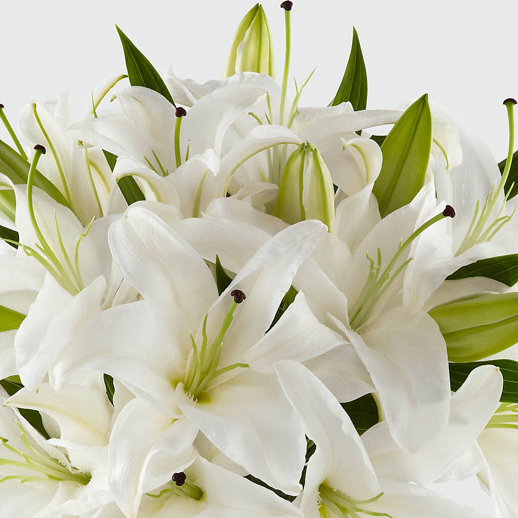 Faithful Blessings Bouquet –  Flowers By Mgm, North York ON