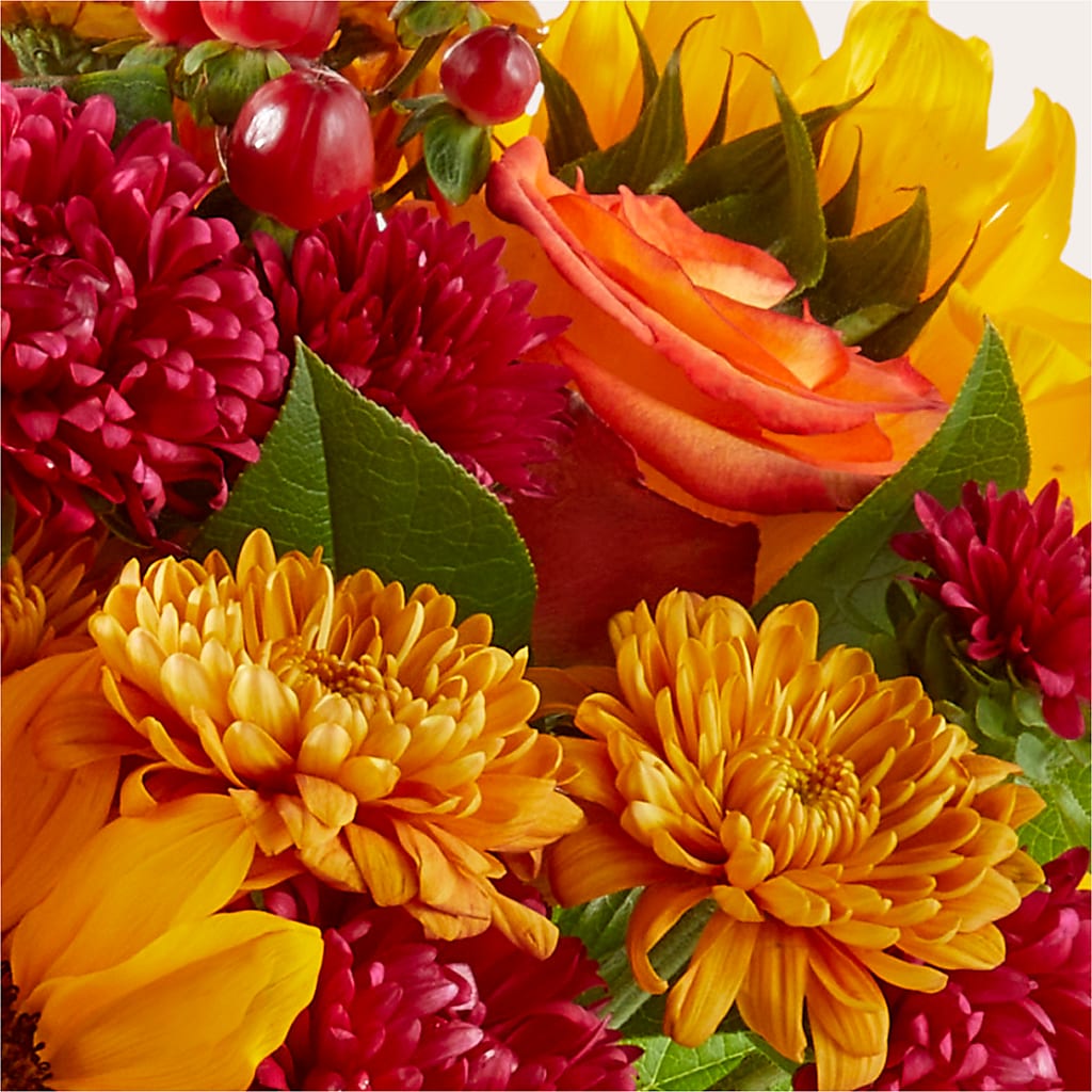 Sweater Season - A Florist Original –  Flowers By Mgm, North York ON