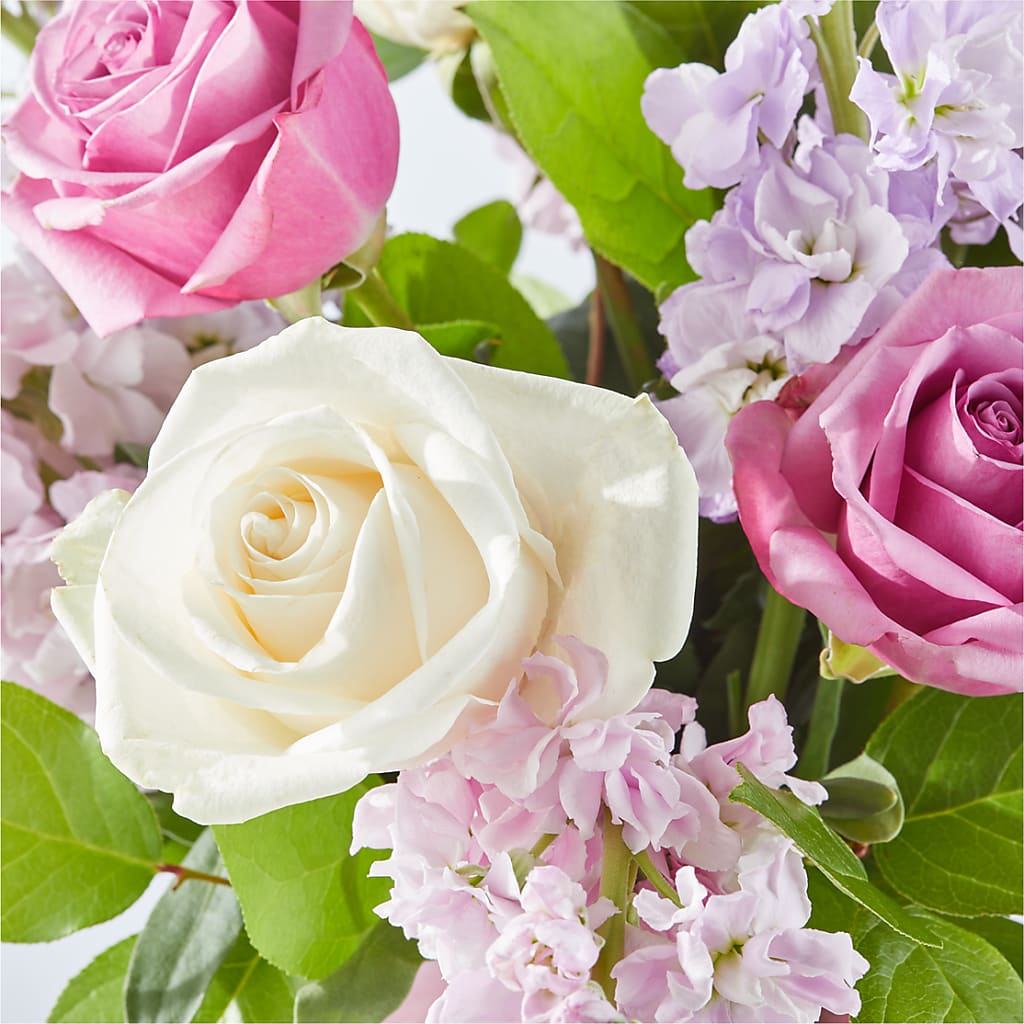 Springtime Spritz Bouquet –  Flowers By Mgm, North York ON