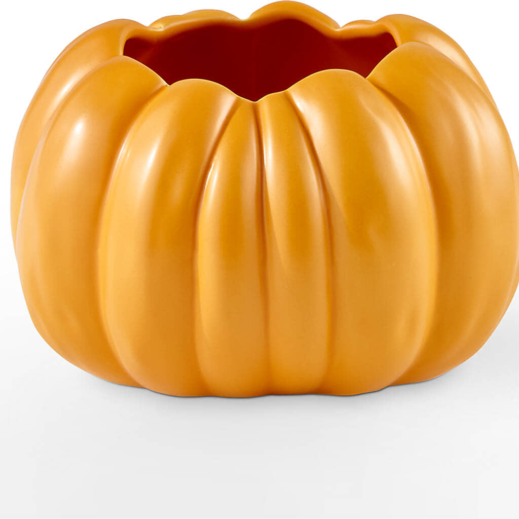 Golden Gourd Pumpkin Bouquet –  Flowers By Mgm, North York ON