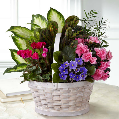 Peaceful Garden Planter –  Flowers By Mgm, North York ON