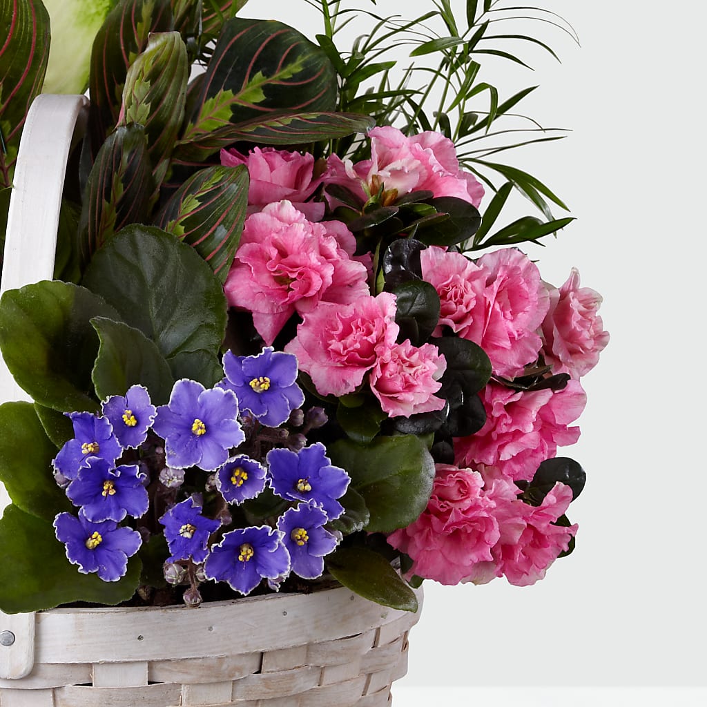 Peaceful Garden Planter –  Flowers By Mgm, North York ON