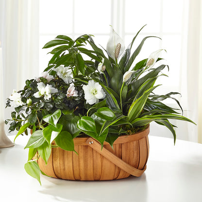 Serene Dishgarden –  Flowers By Mgm, North York ON