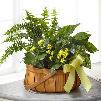 Always Dear Dishgarden –  Flowers By Mgm, North York ON