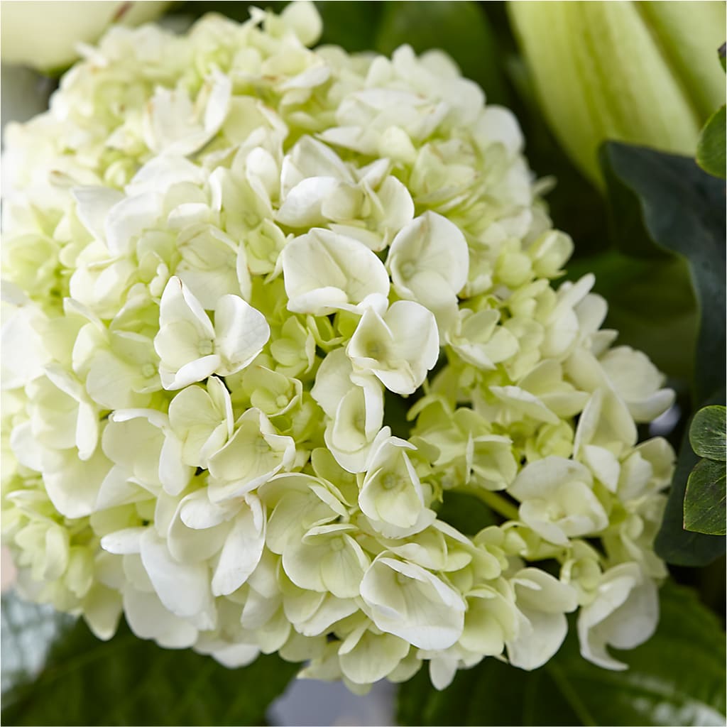 Classic Ivory – A Florist Original –  Flowers By Mgm, North York ON