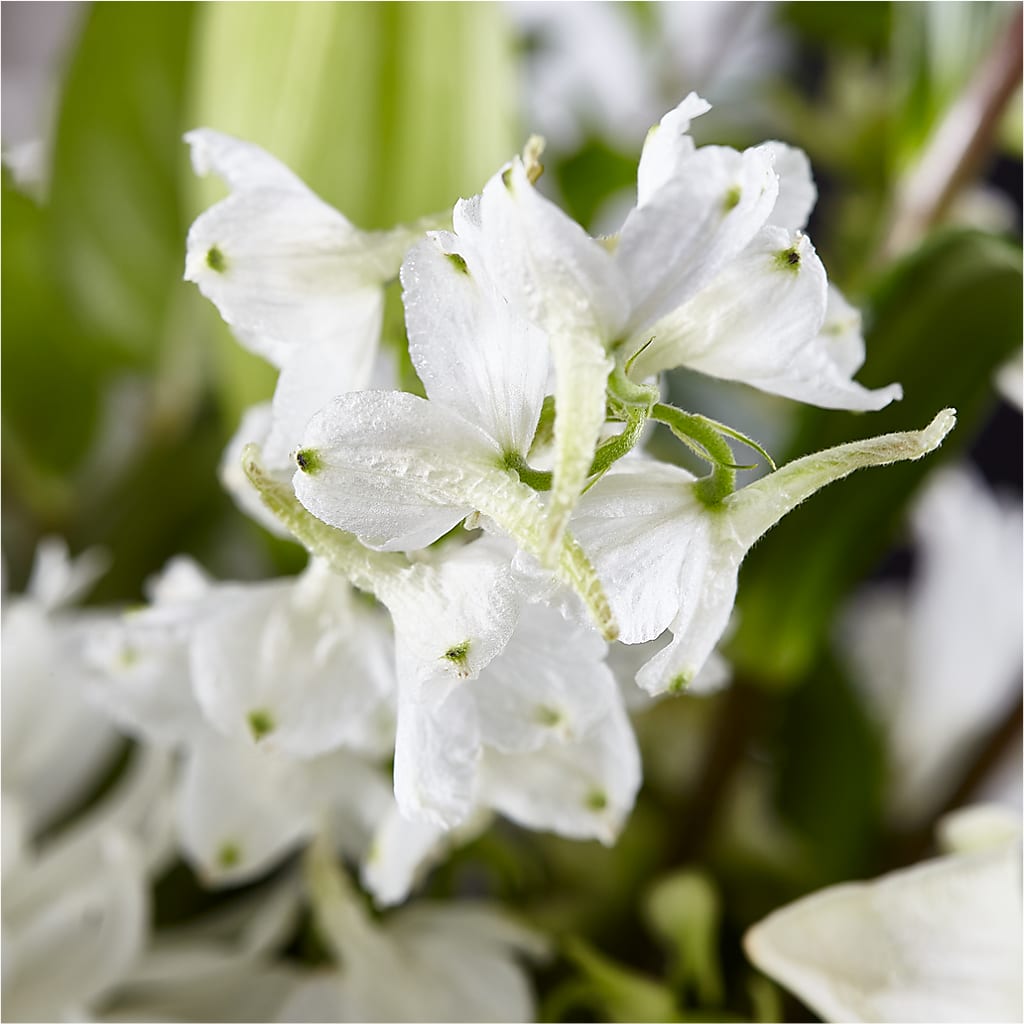Classic Ivory – A Florist Original –  Flowers By Mgm, North York ON