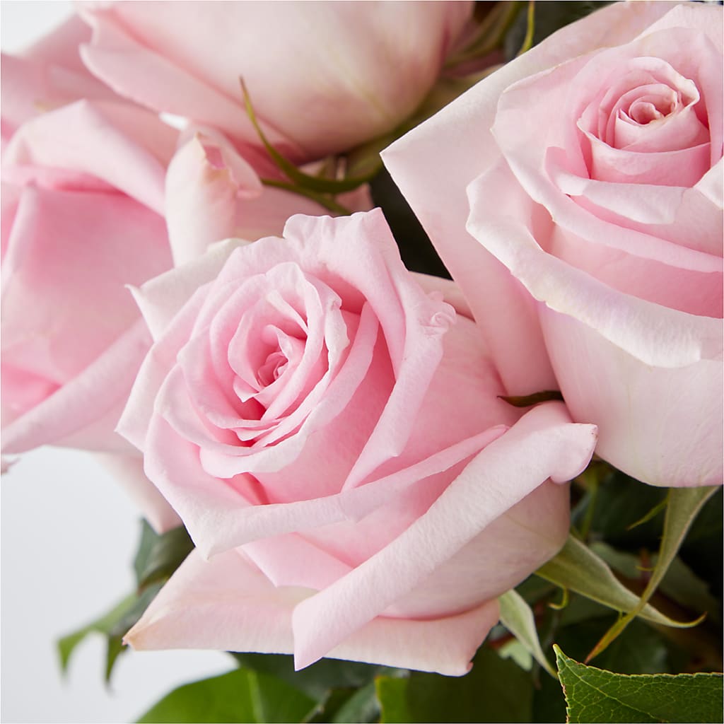Picture Perfect Pink Rose Bouquet –  Flowers By Mgm, North York ON