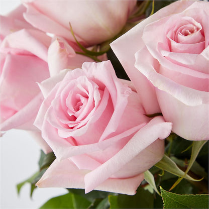 Picture Perfect Pink Rose Bouquet –  Flowers By Mgm, North York ON