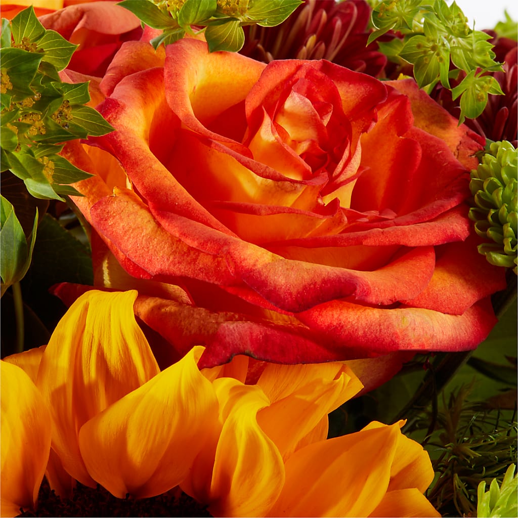 Harvest Festival Bouquet –  Flowers By Mgm, North York ON