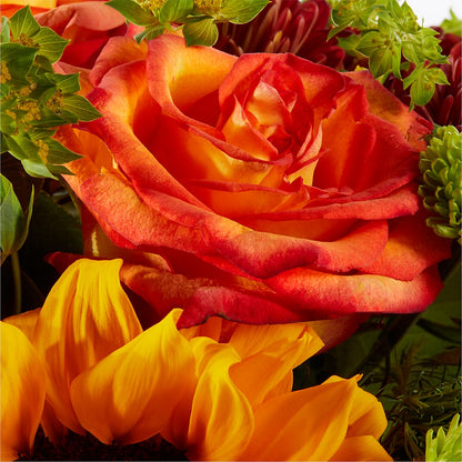 Harvest Festival Bouquet –  Flowers By Mgm, North York ON