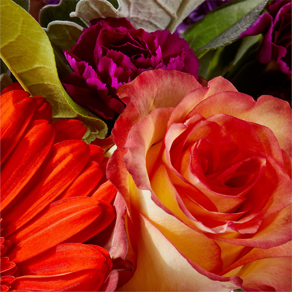 Sangria Bouquet –  Flowers By Mgm, North York ON