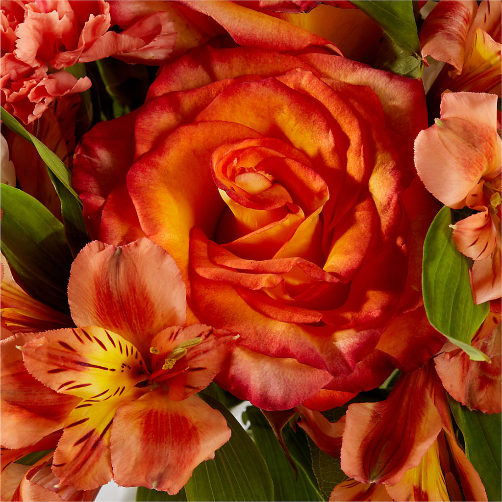 Apricot Glow Bouquet –  Flowers By Mgm, North York ON