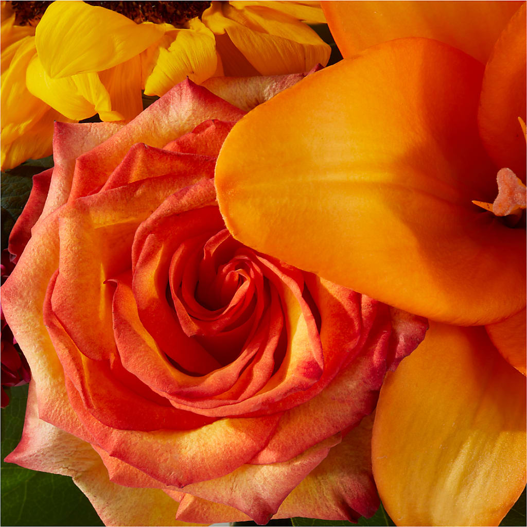 Grateful Centerpiece –  Flowers By Mgm, North York ON
