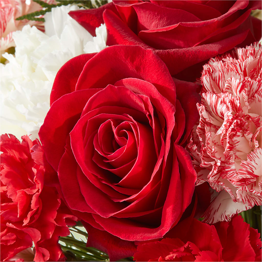 Candy Cane Lane Bouquet –  Flowers By Mgm, North York ON