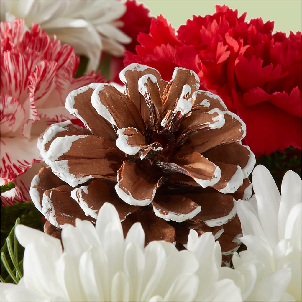 Candy Cane Lane Bouquet –  Flowers By Mgm, North York ON