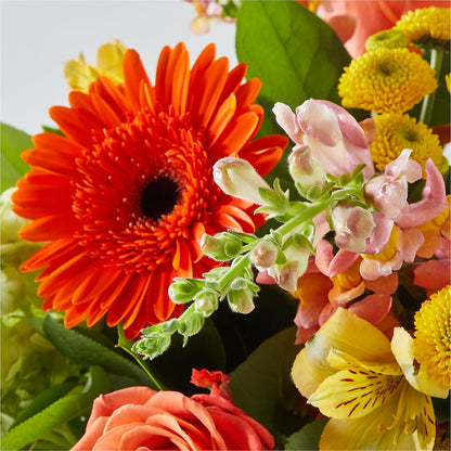 Autumn Sunshine Bouquet –  Flowers By Mgm, North York ON