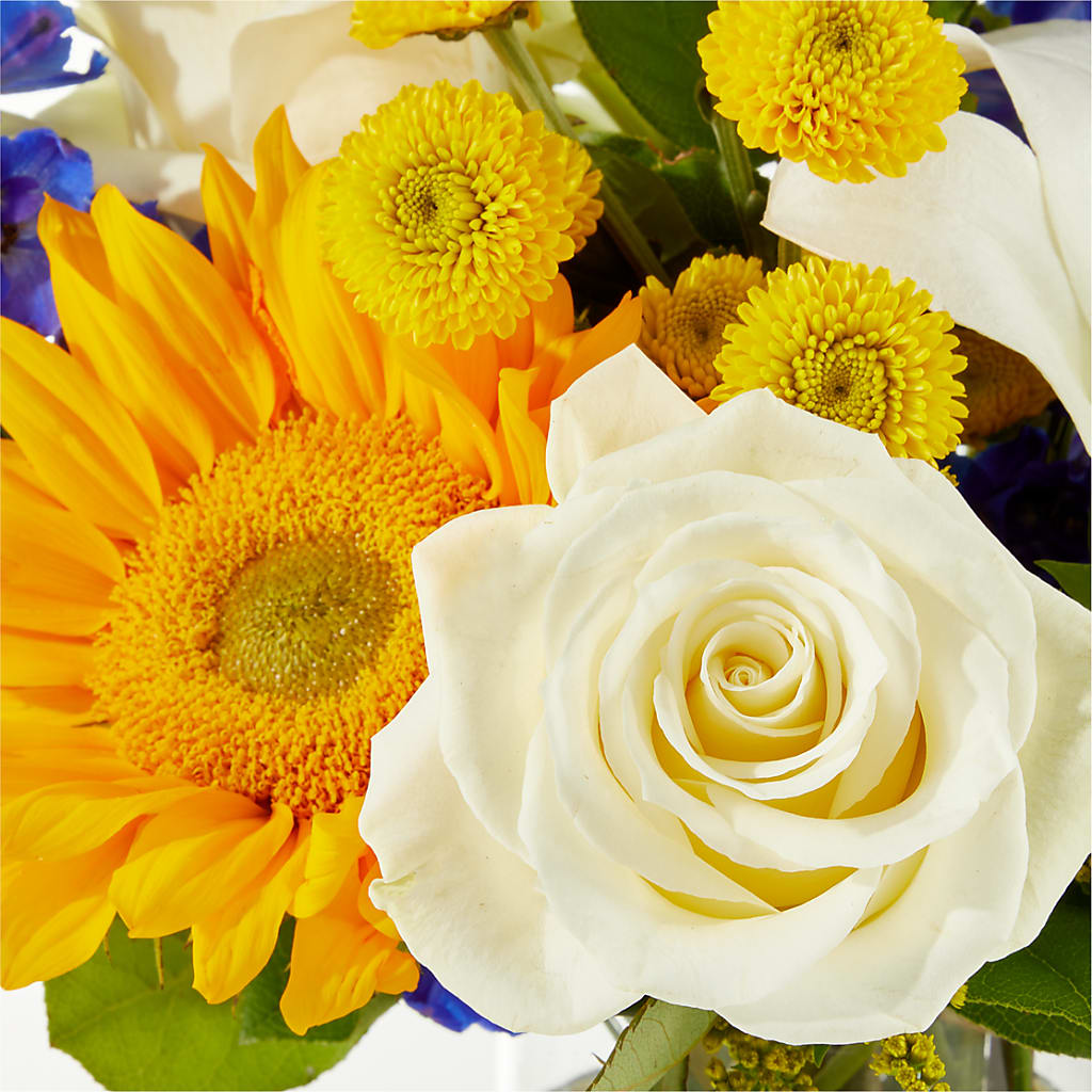 Stargazing Bouquet –  Flowers By Mgm, North York ON