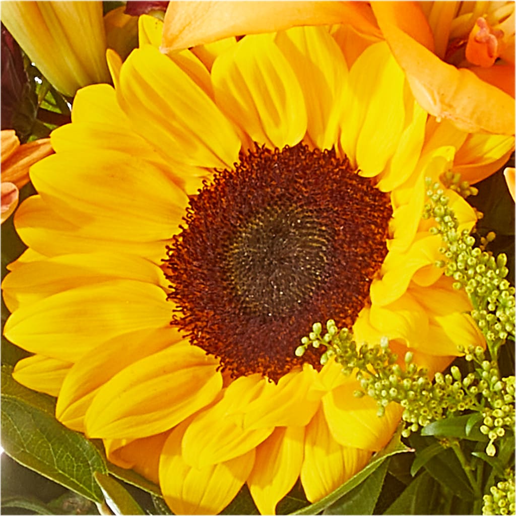 Seasons Change Bouquet –  Flowers By Mgm, North York ON