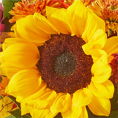 Sunny Side Bouquet –  Flowers By Mgm, North York ON