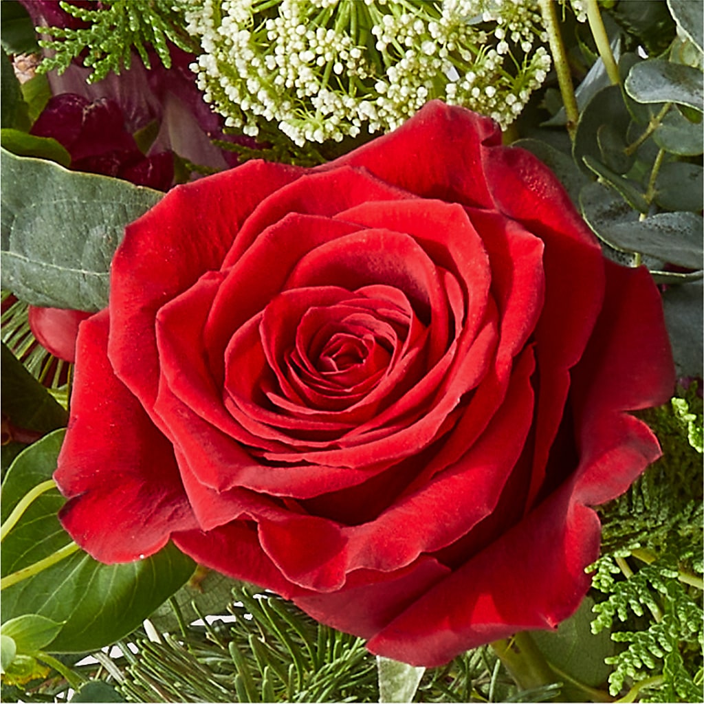 Cranberry Fizz Bouquet –  Flowers By Mgm, North York ON